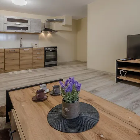 Appartement Brizy *