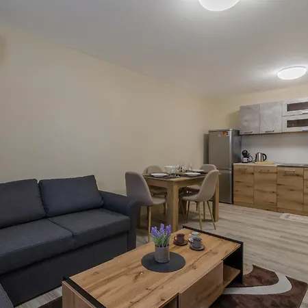 Appartement Brizy *